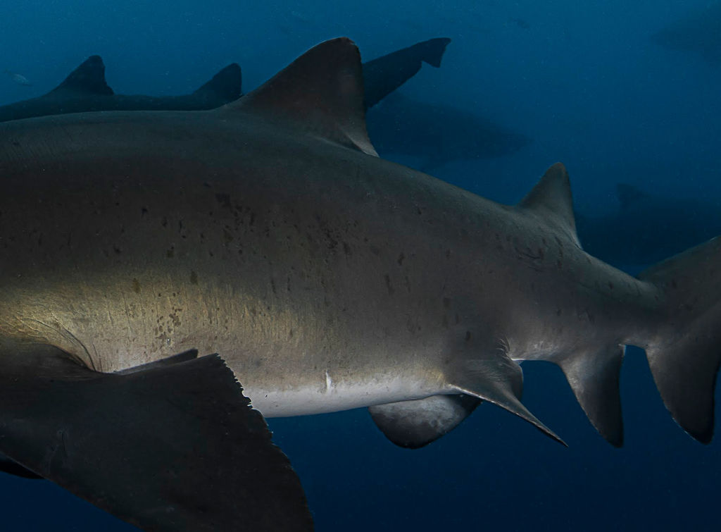 388cfbf1-7e07-45e4-a890-40c393ba6d2d