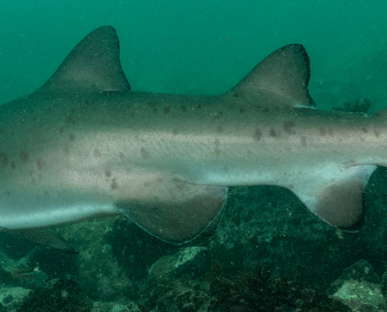 f074efd9-b786-4889-8afa-97b98703040e