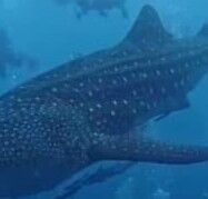 01639293-bcfe-4525-9a83-2d422a5d8174