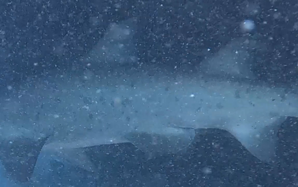 166db56b-60a4-4500-b193-f9b869baa3eb