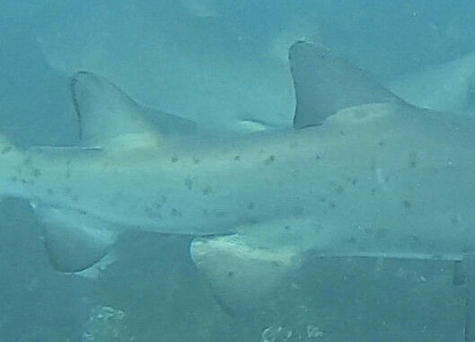 8735e625-44d3-4ce2-9b5b-2e93627f4c48