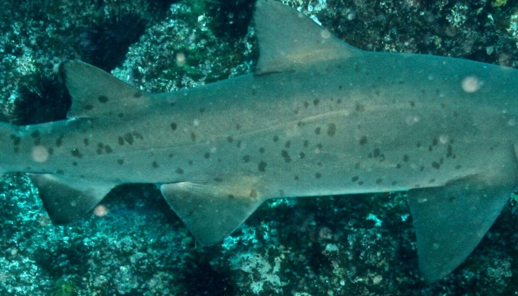 3d20ea99-4577-4480-8394-0c6fe2ba0714