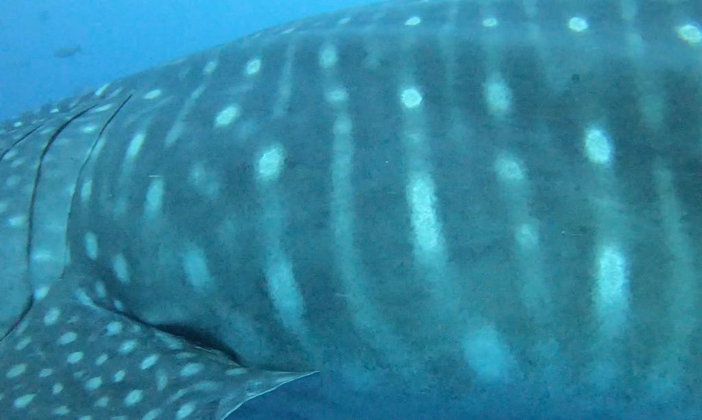 93b44dd4-3d73-4b84-910a-a7e2dc7a47de