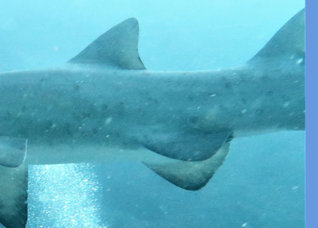 ecbfb8e9-af73-44e5-a0cb-eef308f5299d