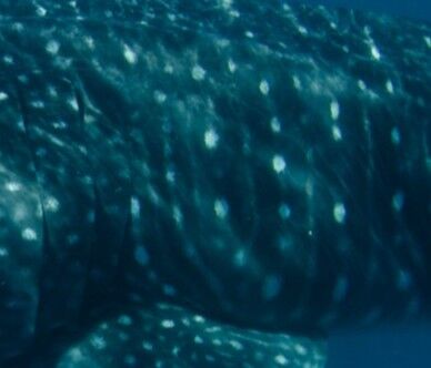 4e4b4978-7460-46eb-b4ec-d1bb3680706c