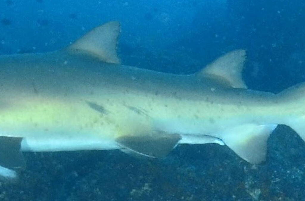 7d31a38d-76eb-43ac-843e-42761febb3ef