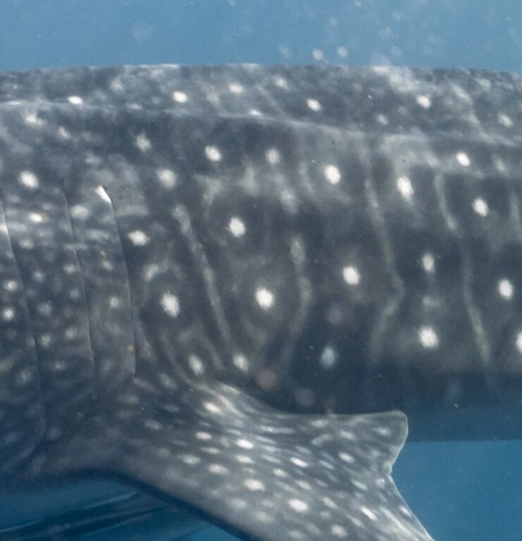 e124b722-8107-4f9a-85f5-c24ac6bcc27c