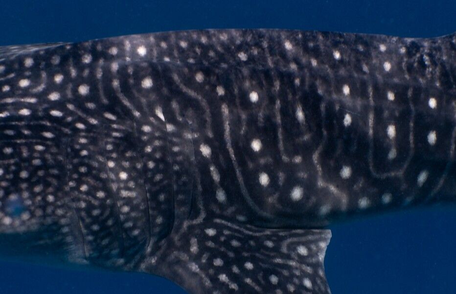 42d10834-9d70-48b4-80e7-56deae082db6