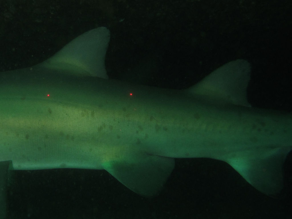 6106e937-07aa-44cc-89ab-bf498db3b768