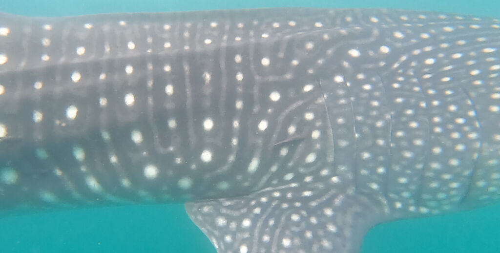 15a3e95c-44e7-493e-b6be-3c93b83c5aaf