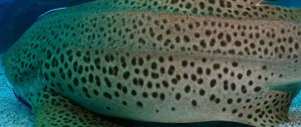 9f80584e-b1ed-4b3f-928f-06d71e41b4ca