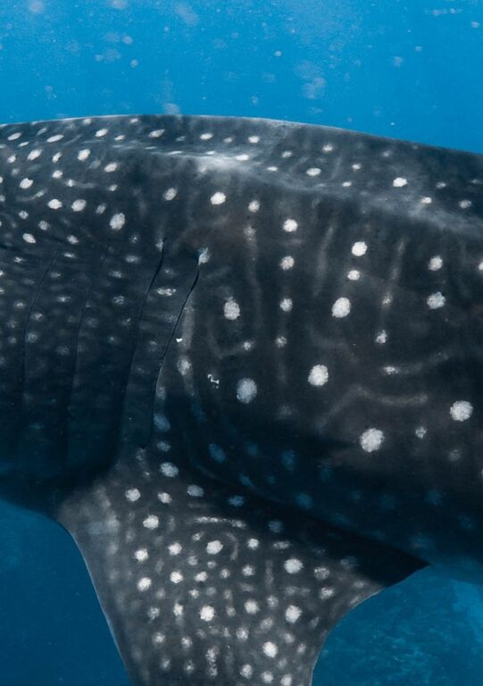 6caa2049-c312-4baa-8665-61c73dbc9259