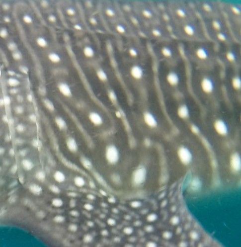 0b3e0915-385d-419e-87b3-902bc1774d46