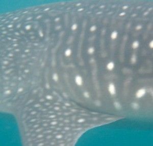 14c076d2-0319-4d73-87af-a7815b57d104