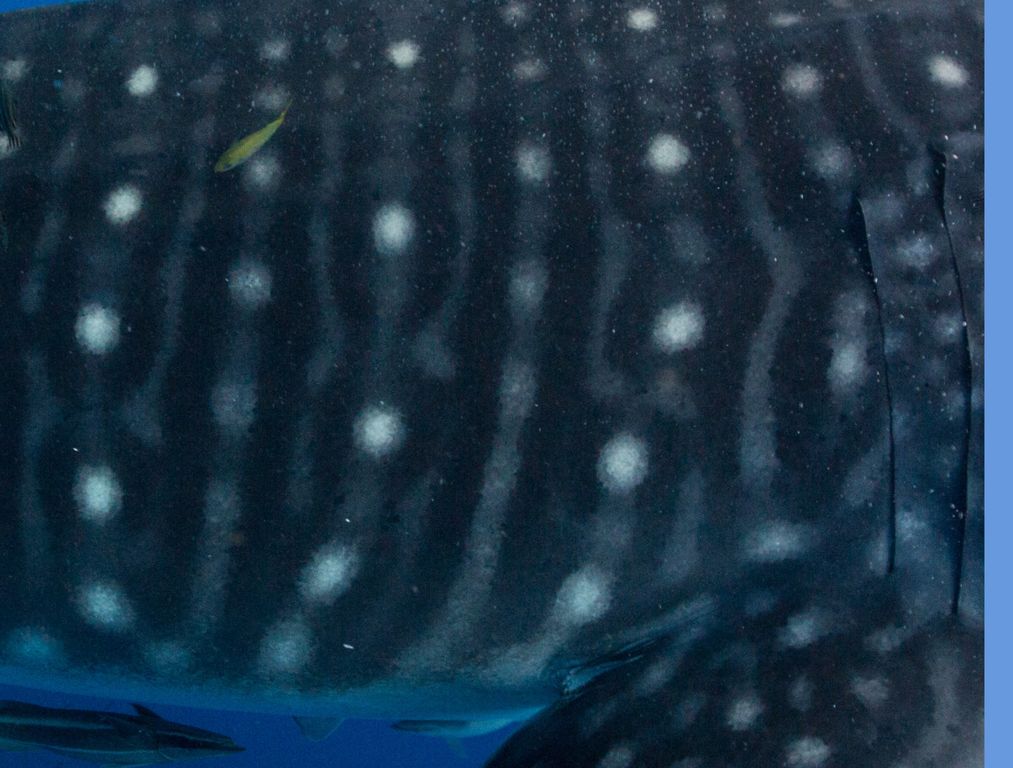 e984f204-ad3d-4904-b5b5-f2f1709ef2e0