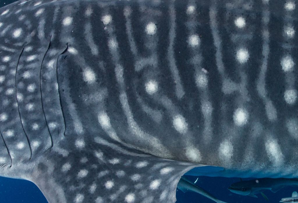 e984f204-ad3d-4904-b5b5-f2f1709ef2e0