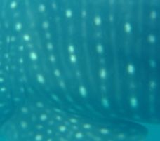 f2b993c6-fd0a-41a0-a91b-74a751978bb1