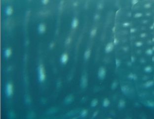 f2b993c6-fd0a-41a0-a91b-74a751978bb1