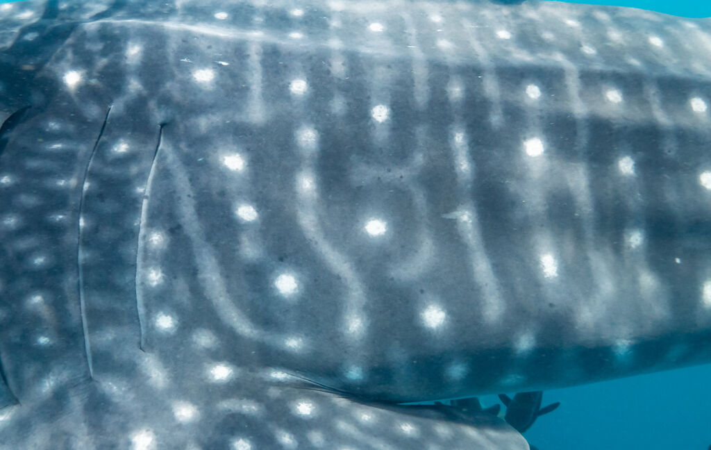 eab0060c-b23f-41d4-a070-093cd6c3f29f