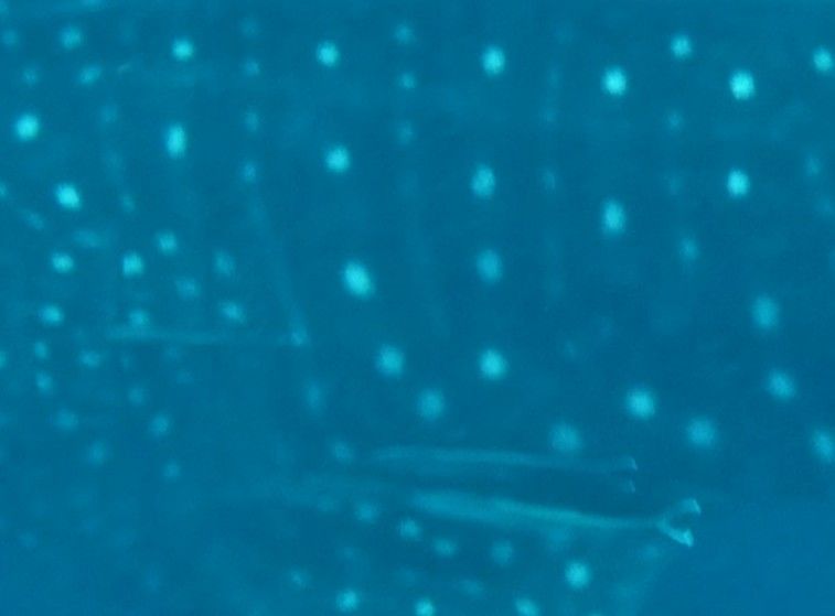 50cfb307-0c37-4654-ac6f-5b4af2658127