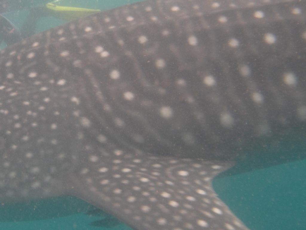 c0448362-fd54-49e5-b6d8-9b4a3ae682e1