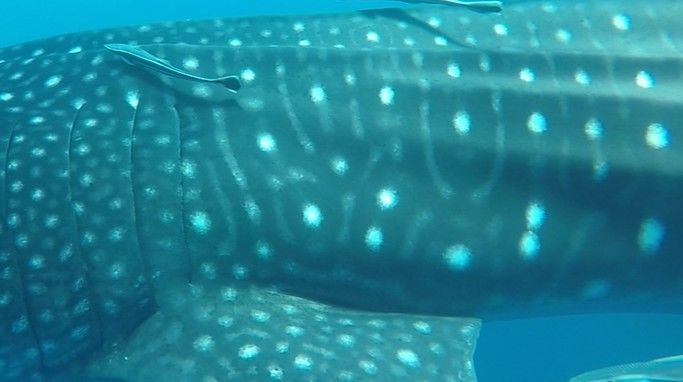 ba87658e-c8a5-4727-b3cd-d61ba1298391