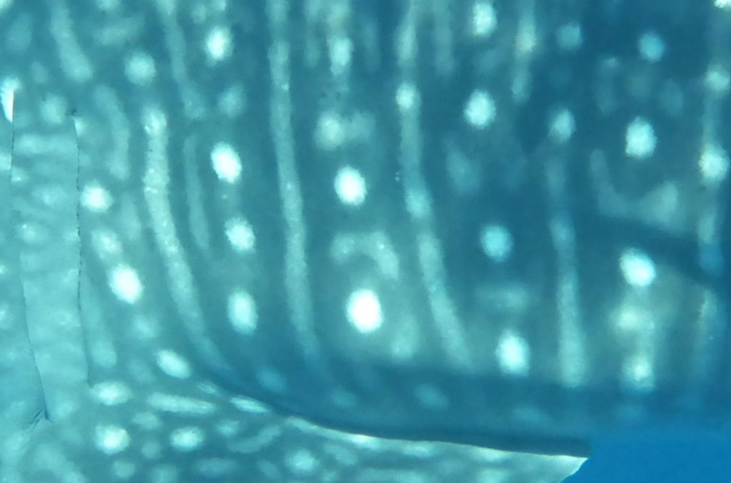 ab944f6b-1c5f-4d50-83f1-75d7a81153b4