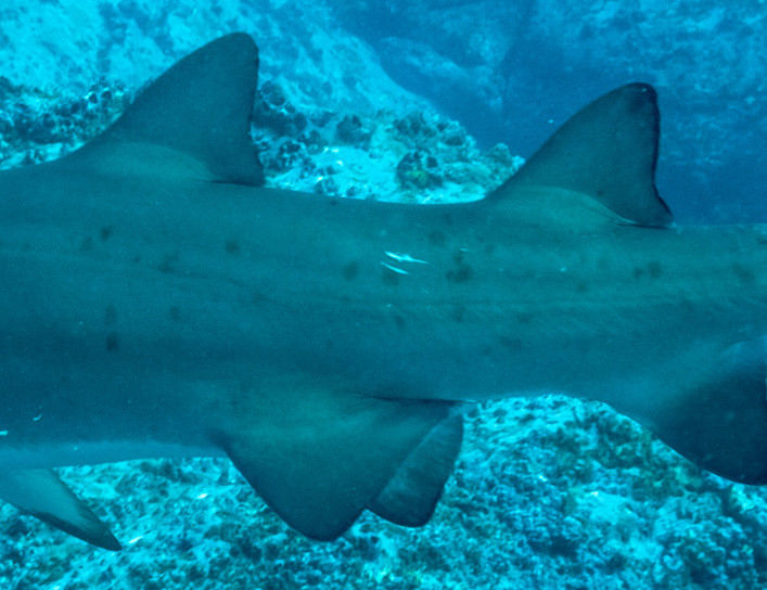 bdb7f444-c356-4c8a-8bb0-22a757e14dd9