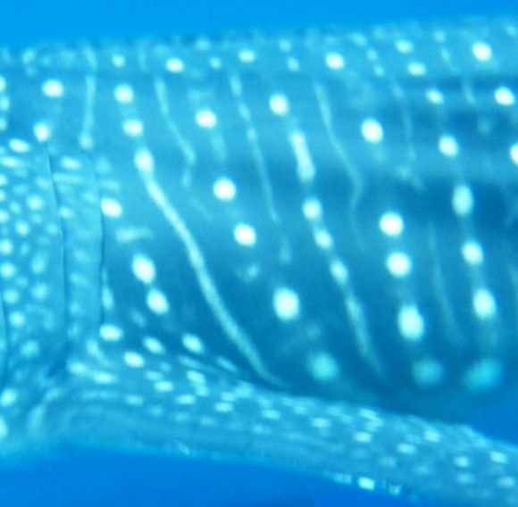 e6f2c3c1-3a6e-4105-9ee1-74604aed33dd