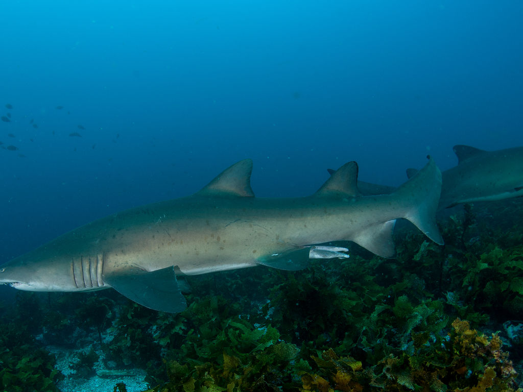 c933a9ad-a786-457a-8878-7b7dc6b27750