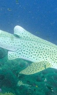 689166fd-3d9f-4cdd-8881-29aa2cd177ed