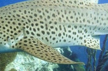 689166fd-3d9f-4cdd-8881-29aa2cd177ed