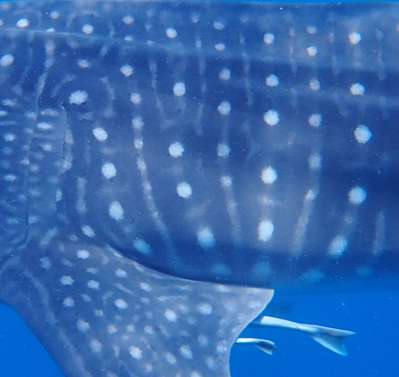 d4406d25-aed0-4166-b88c-14e609a78fb0