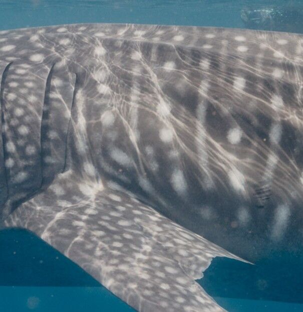 12fce75f-283e-4229-b53c-cd9fdd4507c0