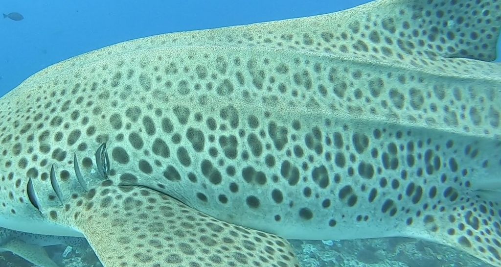 25ef7f97-55b6-4746-817e-0def0c0737d9