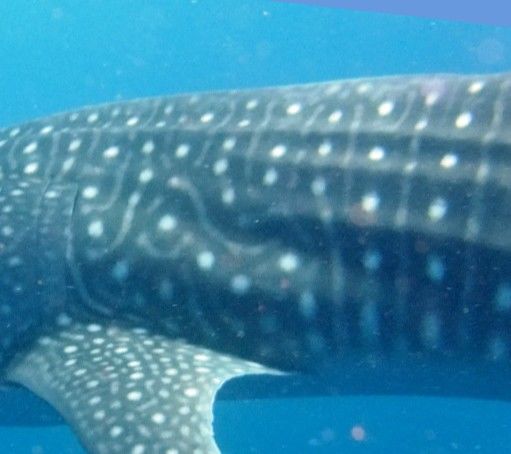 55eecf3d-d8b8-42d9-a253-40fb4b86b4fc