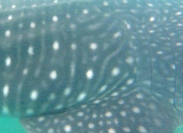 b1af3a81-a89c-4e1b-8de9-21f2d243d99c