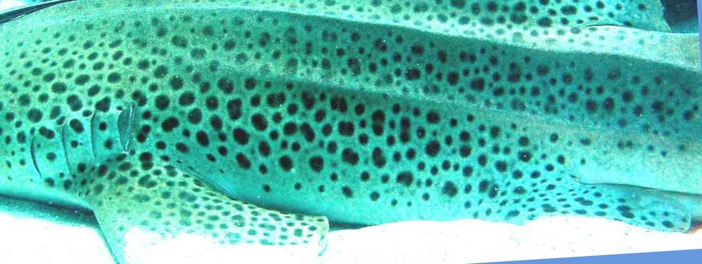 714d8c26-a87d-40fe-818a-2b1c8d23990b