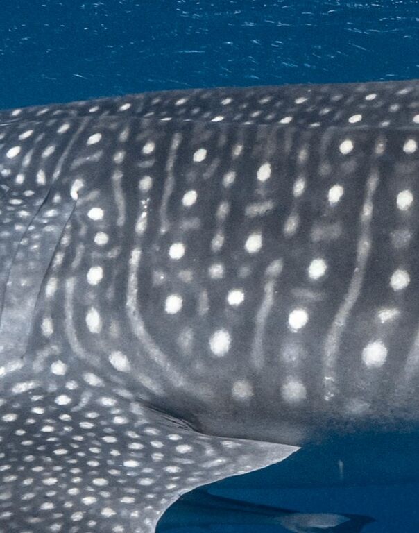 3b12838e-f314-4675-9f35-c61dedf4abe4