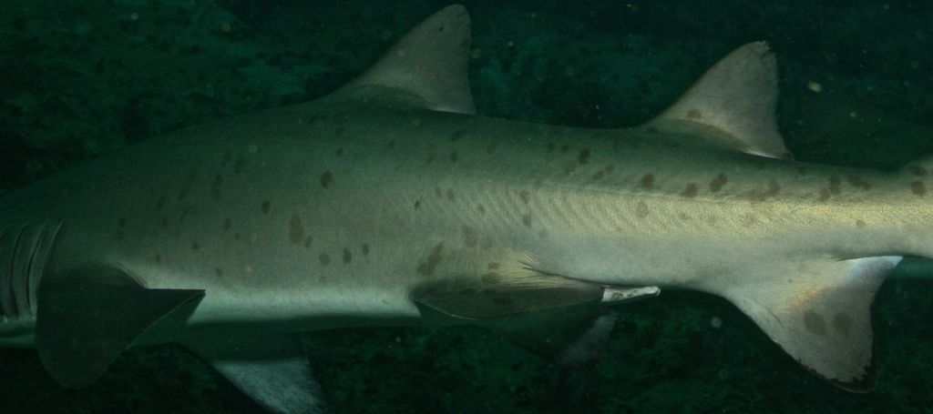 7b68d1cf-2c13-4e5a-b121-672247fdeaee