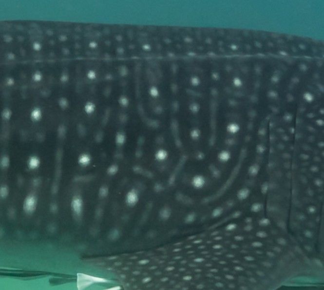 7212e0cc-d5f7-499f-92ef-5245d391e138