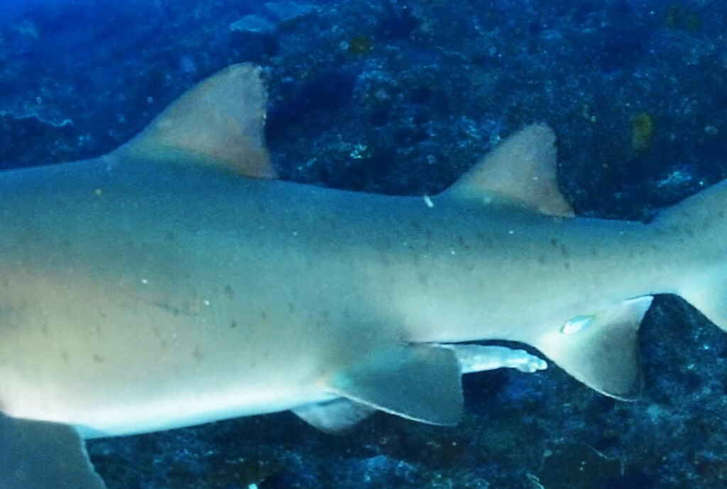 8cc6f721-0e35-458f-b24c-1124da6de703