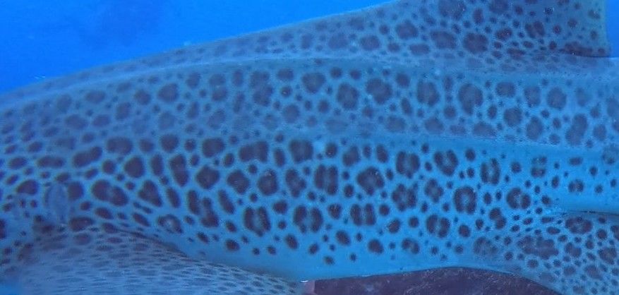 e6f69560-ed9f-413c-ae12-df20c9c1ba2a