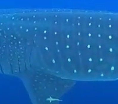 a0e2961a-76ba-4a87-bc8b-6435d3f5cc15