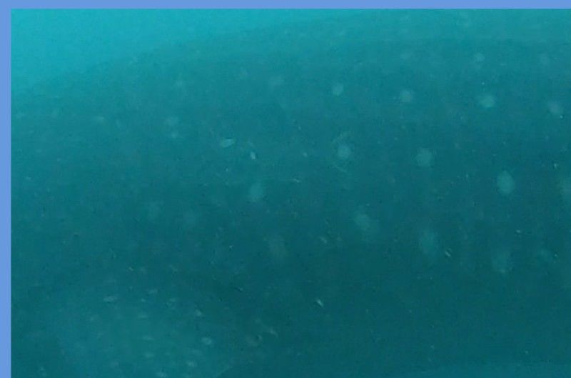 6dfae500-cb59-434f-aba6-e0f648e88eee