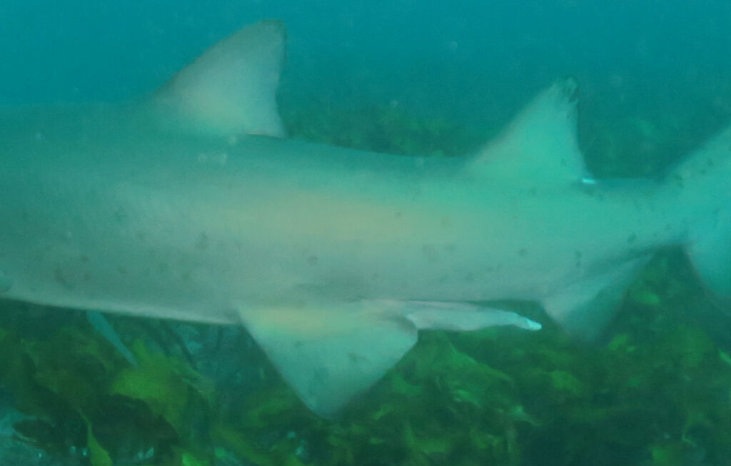 e8f4af52-bf07-42ae-b249-9ba05c0d6b36