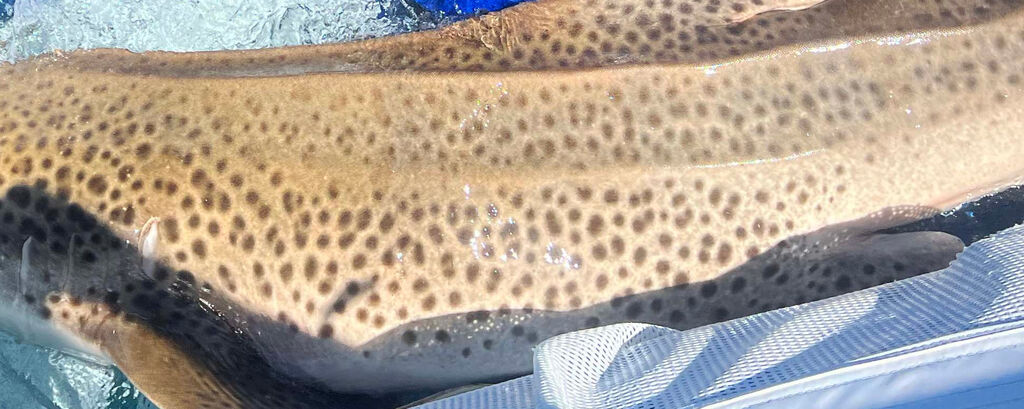 edbf7458-f1c6-424f-a2e9-d15ef91d76bd