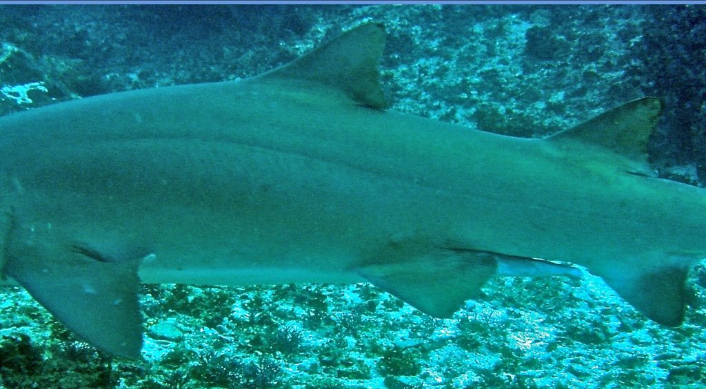 b571e462-965a-462d-92bc-3d04a6395378