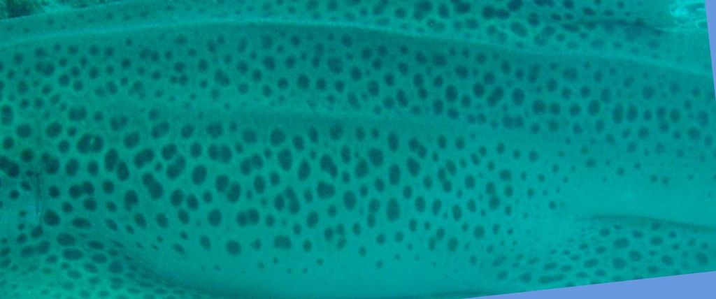 6701072e-d6ba-4bc1-9938-4d55009cb305