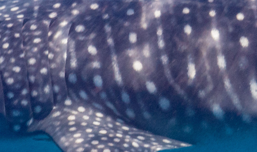 13a64151-5e17-4699-95b3-c908240bd632